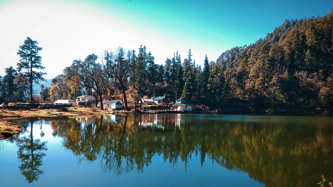 Dodi Tal Trek